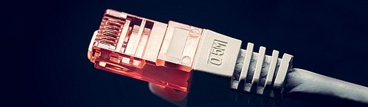 Ethernet patch lead close up